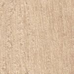 Pecan